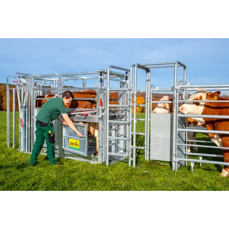 Behandlungsstand A6000 mit Heckschiebetür, Fangkorb 2-flügelig stufenlose Halsfangvorrichtung vz.