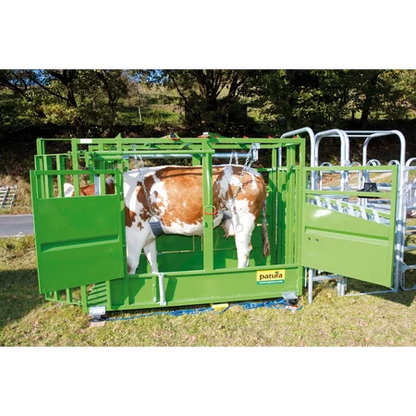 Behandlungsstand A5000 Serie
