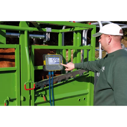Behandlungsstand A5000 Serie