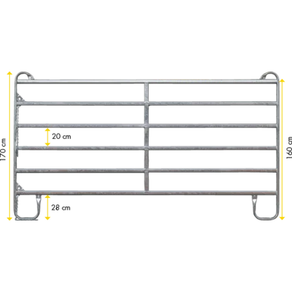 Panel Compact, Höhe 170cm
