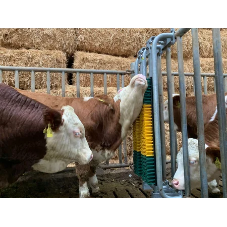 Gefederte Bürste mit Schutzkorb
