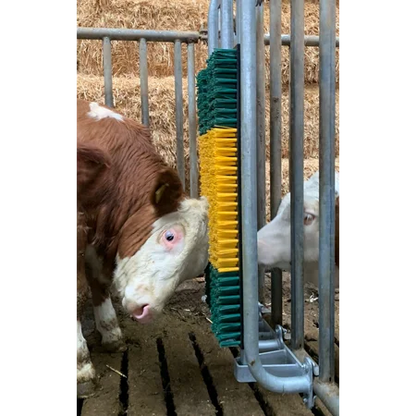 Gefederte Bürste mit Schutzkorb
