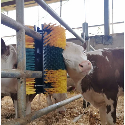 Kratzbürste Multifix für Wand- und Pfostenmontage 50 x 30 cm