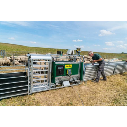 3-Wege- Wiege- und Sortierbox mit Druckluftbetrieb