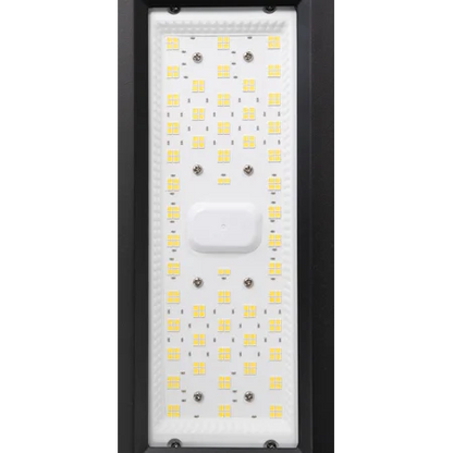 Flex-LED Premium-Line